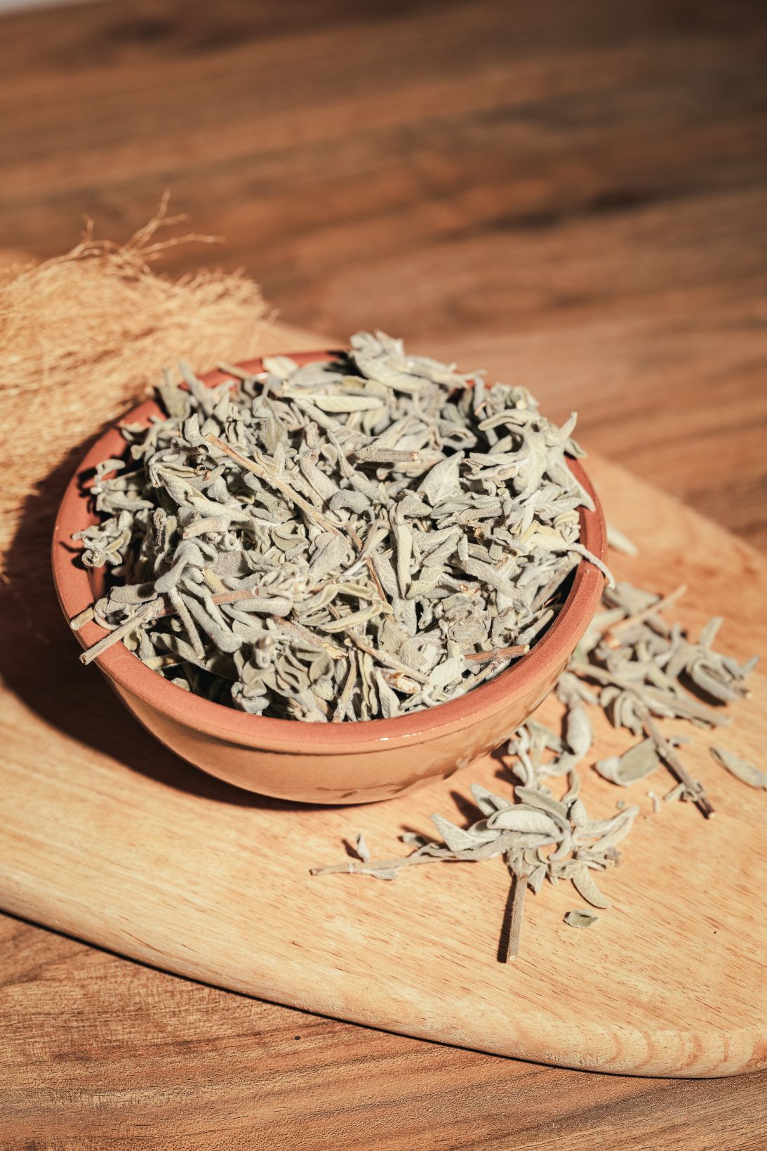 Wild maramia sage — detail photo — Zaatar & Zayn
